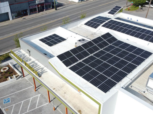 thumbnail for Turnip Truck